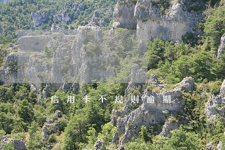 信用卡不规则逾期 信用卡不规则逾期