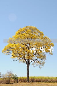 信用卡不足10元逾期