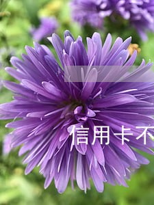 信用卡不足3万逾期无力偿还坐牢