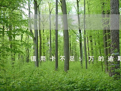 信用卡不足5万的逾期 信用卡不足5万的逾期