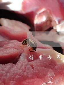 信用卡不还会不会逾期