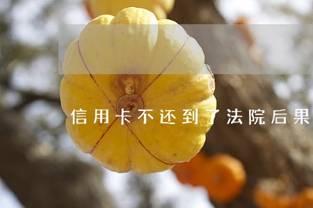 信用卡不还到了法院后果如何 信用卡不还到了法院后果如何