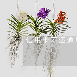 信用卡不还逾期了没能力还后果 信用卡不还逾期了没能力还后果