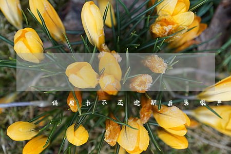 信用卡不还逾期后果很严重