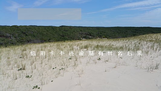 信用卡不还逾期有什么后果