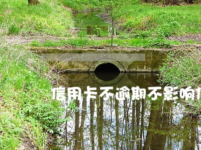 信用卡不逾期不影响信用吧 信用卡不逾期不影响信用吧