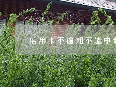信用卡不逾期不能申请分期 信用卡不逾期不能申请分期