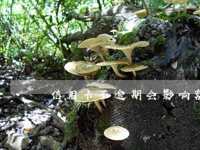 信用卡不逾期会影响额度吗 信用卡不逾期会影响额度吗