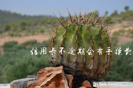 信用卡不逾期会有手续费吗