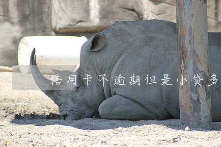 信用卡不逾期但是小贷多 信用卡不逾期但是小贷多