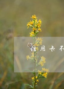 信用卡不逾期可以停息吗 信用卡不逾期可以停息吗