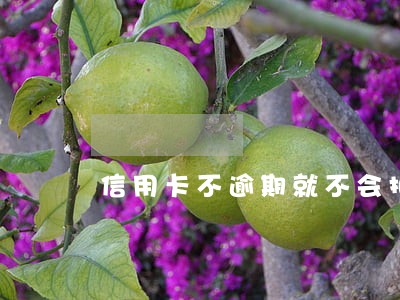 信用卡不逾期就不会扣费吗