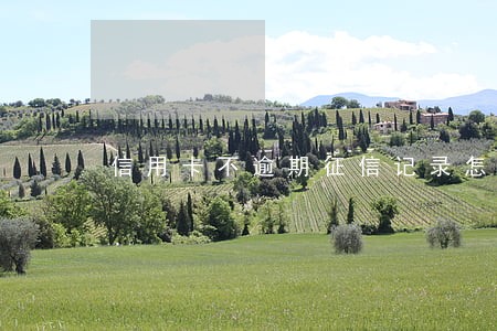 信用卡不逾期征信记录怎么办