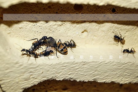 信用卡不逾期怎么盈利