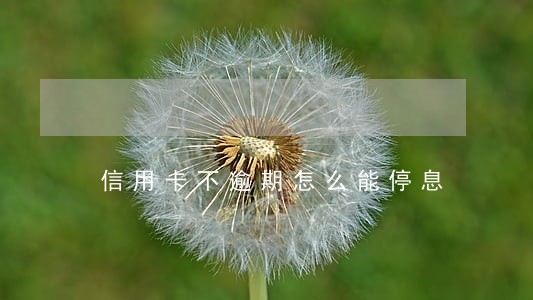 信用卡不逾期怎么能停息 信用卡不逾期怎么能停息