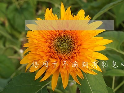 信用卡不逾期有利息吗浦发