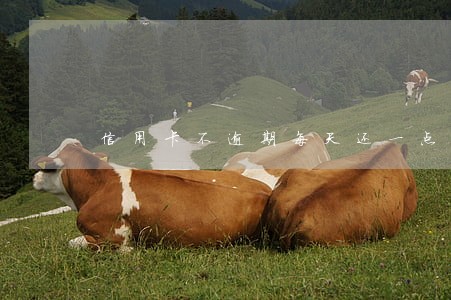 信用卡不逾期每天还一点能行不 信用卡不逾期每天还一点能行不