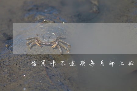 信用卡不逾期每月都上征信吗