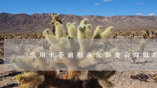 信用卡不逾期永久额度会降低吗 信用卡不逾期永久额度会降低吗
