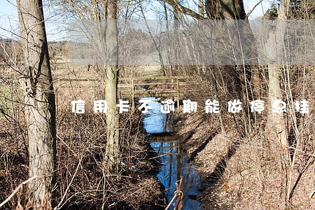 信用卡不逾期能做停息挂账吗 信用卡不逾期能做停息挂账吗