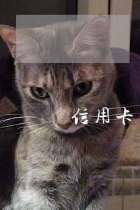 信用卡不逾期能申请停息挂账吗 信用卡不逾期能申请停息挂账吗
