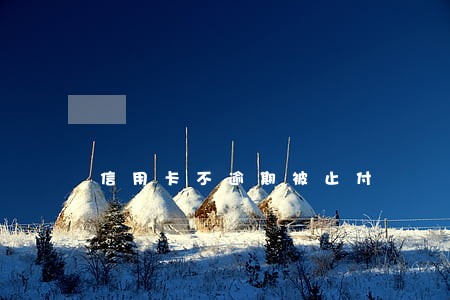 信用卡不逾期被止付 信用卡不逾期被止付