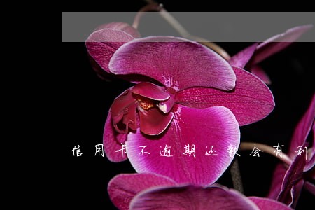 信用卡不逾期还款会有利息吗