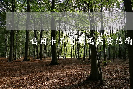 信用卡不逾期还需要结清证明 信用卡不逾期还需要结清证明
