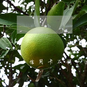 信用卡不销户逾期会清除吗 信用卡不销户逾期会清除吗