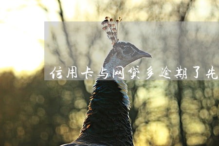信用卡与网贷多逾期了先还 信用卡与网贷多逾期了先还