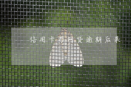 信用卡与网贷逾期后果 信用卡与网贷逾期后果
