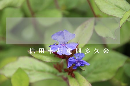 信用卡与逾期多久会