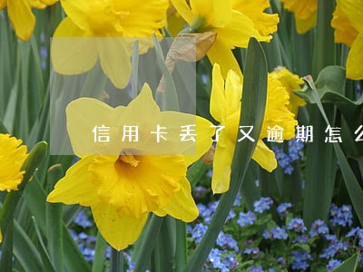 信用卡丢了又逾期怎么办