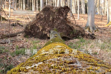 信用卡丢了逾期三年了 信用卡丢了逾期三年了