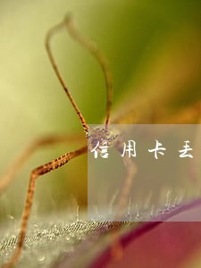 信用卡丢了逾期可以挂失不 信用卡丢了逾期可以挂失不