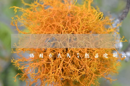 信用卡丢失了然后逾期六年 信用卡丢失了然后逾期六年