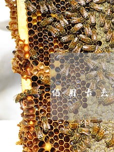 信用卡丢失怎么办马上逾期了 信用卡丢失怎么办马上逾期了