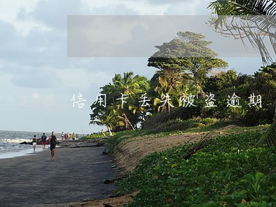 信用卡丢失被盗逾期 信用卡丢失被盗逾期