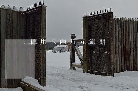 信用卡两万元逾期 信用卡两万元逾期