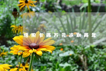 信用卡两万元逾期两年 信用卡两万元逾期两年