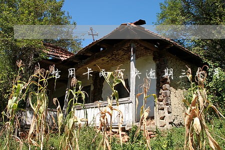 信用卡两万块逾期三个月立案 信用卡两万块逾期三个月立案