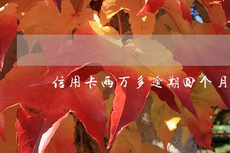 信用卡两万多逾期四个月 信用卡两万多逾期四个月