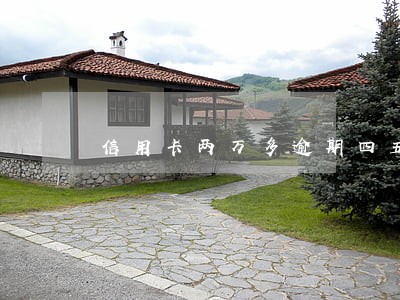 信用卡两万多逾期四五个月