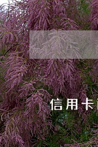 信用卡两万逾期10天利息多少 信用卡两万逾期10天利息多少