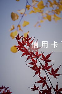 信用卡两万逾期18万 信用卡两万逾期18万