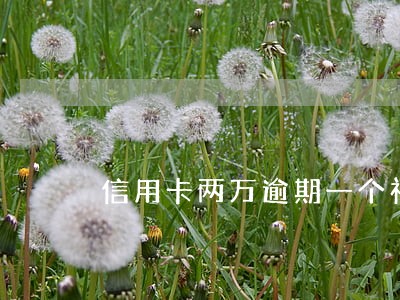 信用卡两万逾期一个礼拜了