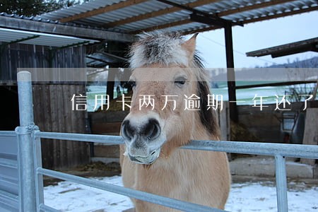 信用卡两万逾期一年还了五千 信用卡两万逾期一年还了五千