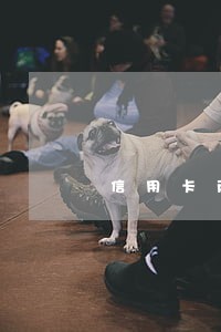 信用卡两万逾期三个月两千利息 信用卡两万逾期三个月两千利息