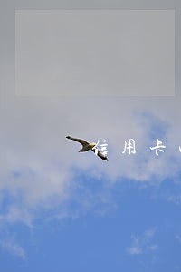 信用卡两万逾期三个月疫情时期 信用卡两万逾期三个月疫情时期
