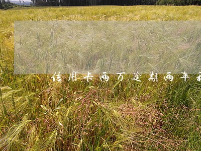 信用卡两万逾期两年利息多少